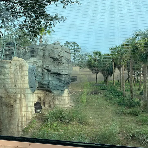 Bird Strike Film, a decorative film, was added to glass at the Jacksonville Zoo by Advanced Window Tinting.